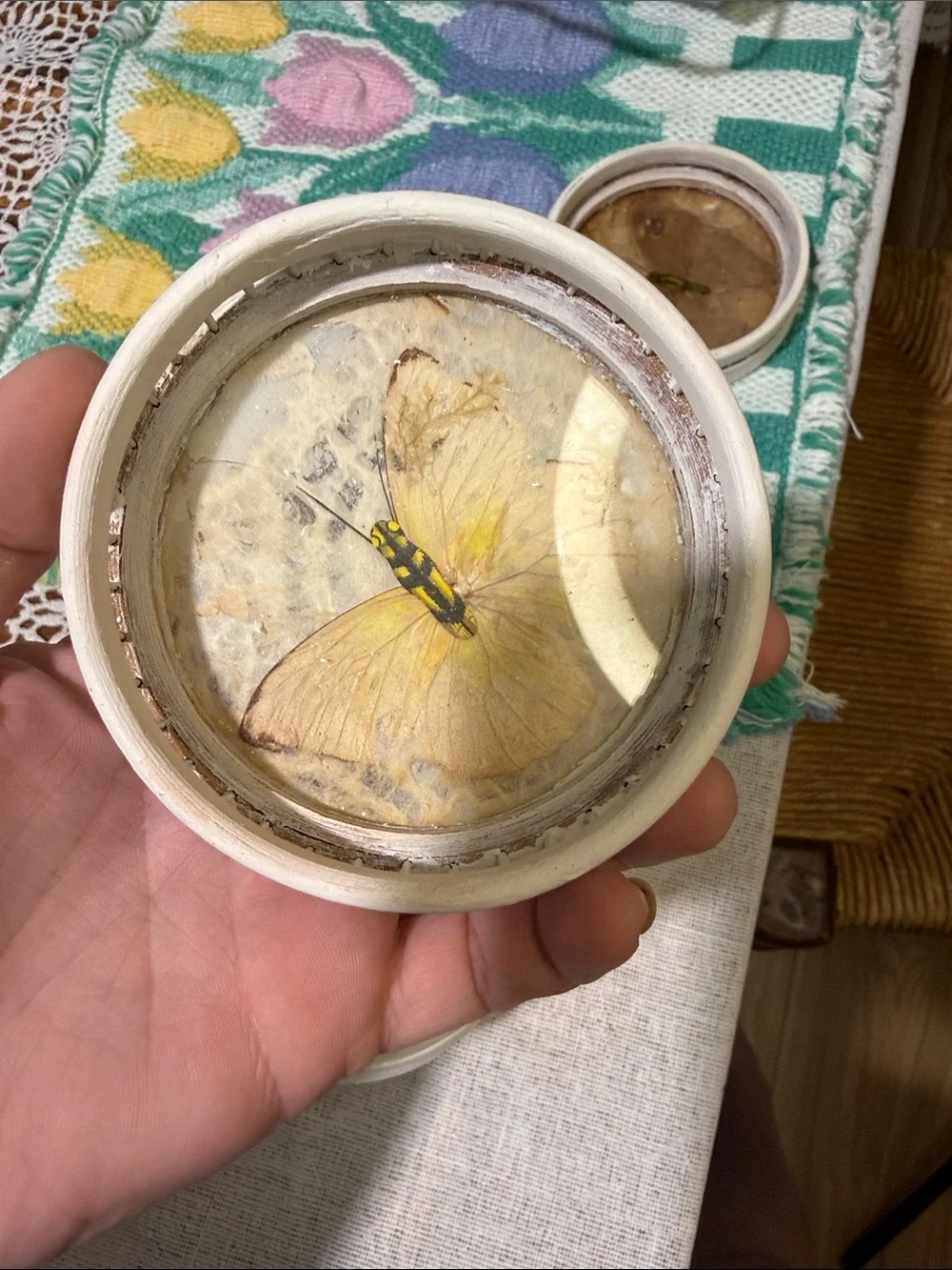 Vintage Pressed Butterfly Coaster Set painted